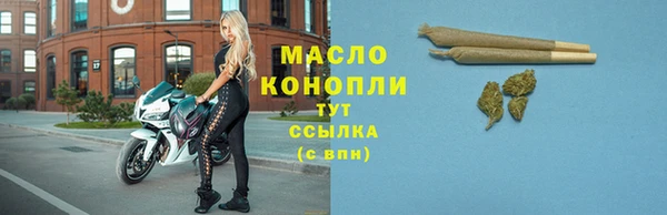 твердый Магас